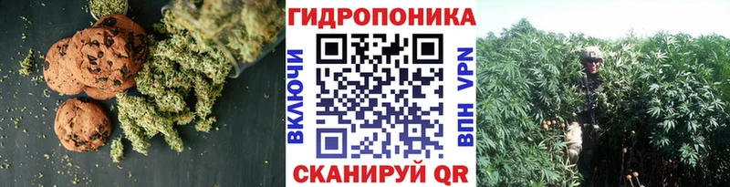 Canna-Cookies конопля  где можно купить наркотик  Новокузнецк 