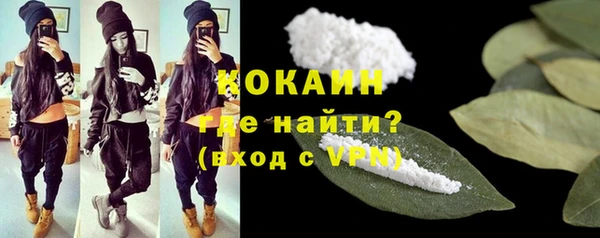 ALPHA PVP Няндома