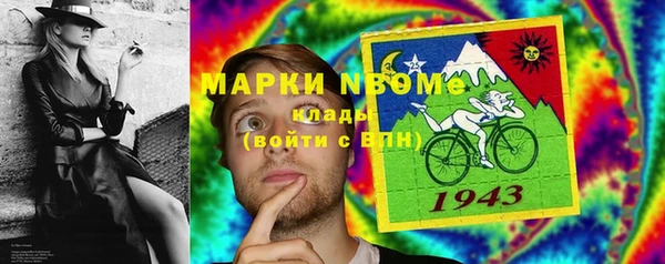 ALPHA PVP Няндома
