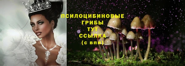 ALPHA PVP Няндома