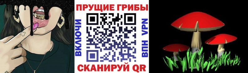 Псилоцибиновые грибы MAGIC MUSHROOMS  Новокузнецк 