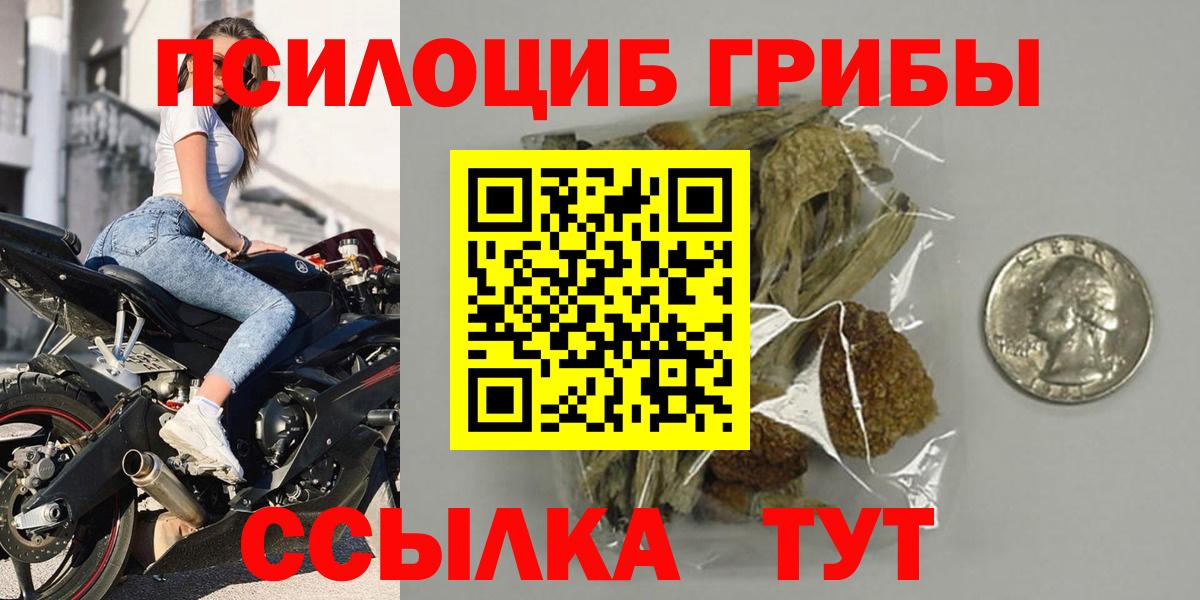 Псилоцибиновые грибы Psilocybe Новокузнецк
