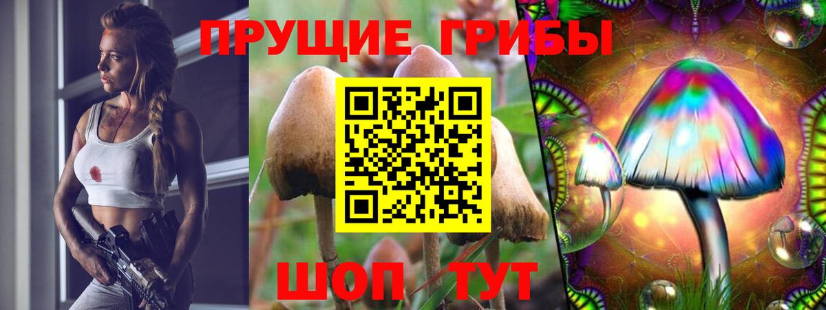 Псилоцибиновые грибы Psilocybine cubensis  Вход с VPN  Новокузнецк 